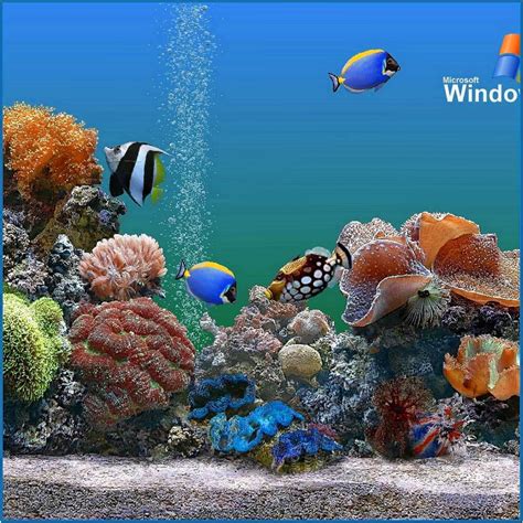 Free dream aquarium screensaver - tewsmood