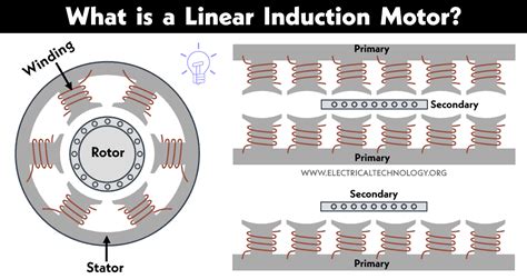 Linear Induction Motor: Working, Types and Applications