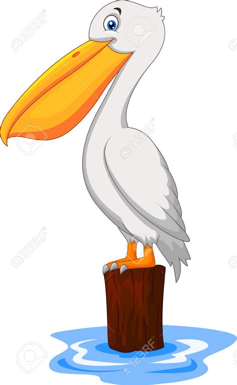 Pelican clipart - Clipground