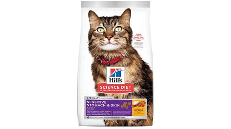 Best cat foods for allergies | PetsRadar