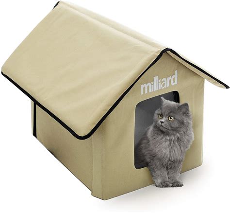 Best Cat Beds - Reviews and Buying Guide (2020) | Tuck Sleep