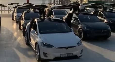 These Tesla Model Xs Flap Their Falcon Wing Doors In Unison | Carscoops