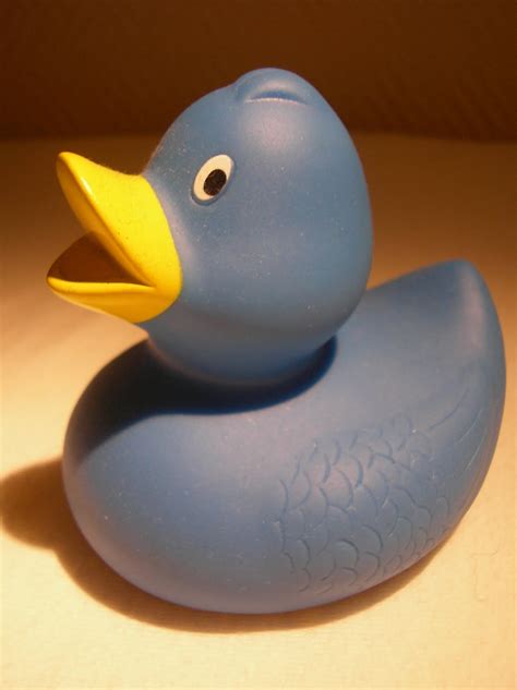 Tine's Rubber Duck Collection: blue duckie