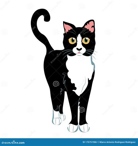 Cartoon Black Cat | CartoonDealer.com #38061015