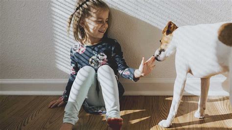 8 Best Pets for Kids: What Type of Pet is Best for You?