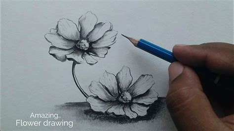 Pencil Shading Drawings Of Flowers