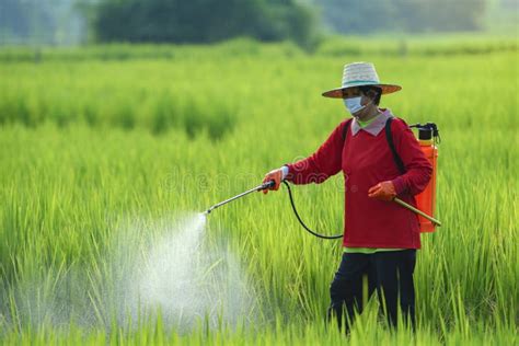 Pesticides is Harmful To Health Stock Image - Image of fertilizer, natural: 127994387