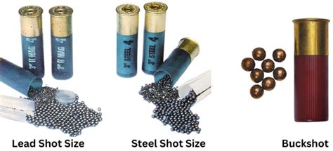 Shotgun Shot Size Chart - Guide To Choose The Right Shot