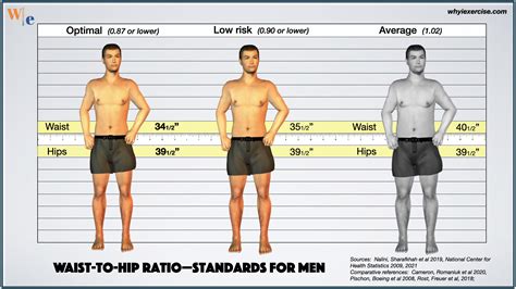 Waist-to-hip ratio: Reliable research shows if you need to lose weight