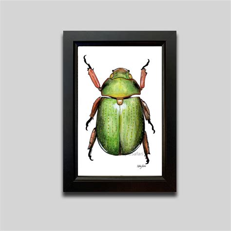 Jewel Scarab Beetle painting print Wildlife gift Watercolour | Etsy