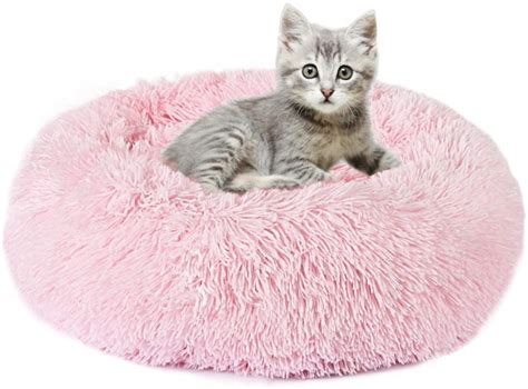 Top Cat Beds & Toys For Indoor Cats - Best Of Top