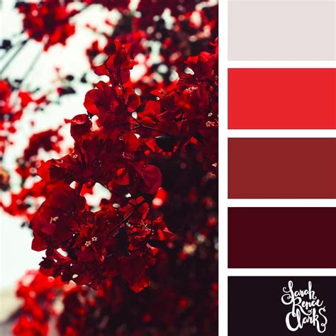 Red color palette | 25 color palettes inspired by the PANTONE color trend predictions for Spring ...