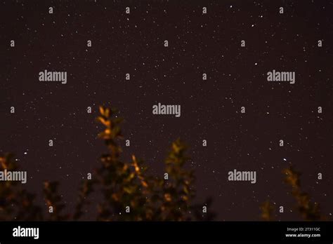 night sky & stars & trees Stock Photo - Alamy