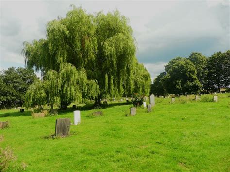 Weeping willow tree in Edgerton... © Humphrey Bolton :: Geograph Britain and Ireland