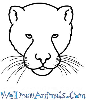 Panther Face Drawing Outline