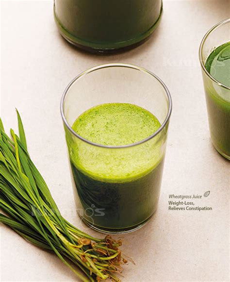 Wheatgrass Juice – Kuvings