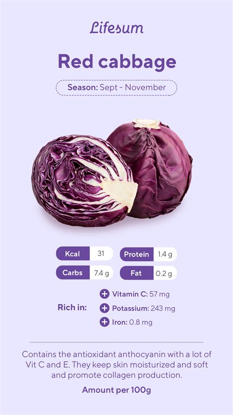 Cabbage Nutrition - Angel Vegetable