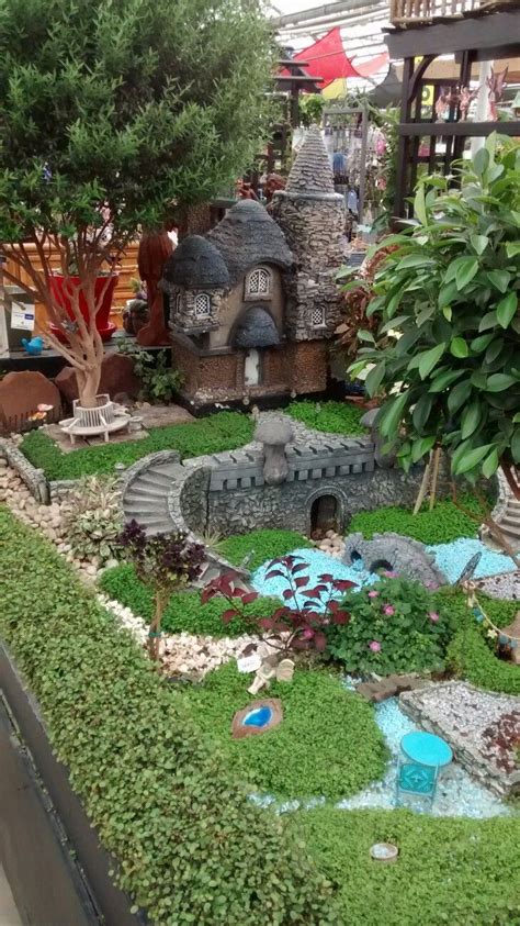 Large fairy garden using all real plants. | Large fairy garden, Indoor mini garden, Mini garden