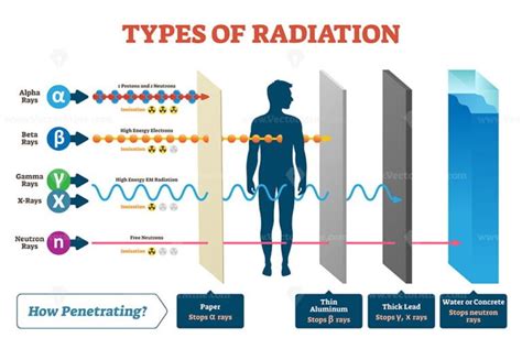 Types of radiation vector illustration diagram and labeled example scheme - VectorMine