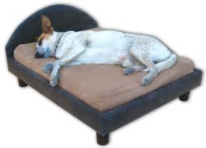 Dog Beds - The Best Place For Dog Beds: Dog Bed Buying Guide