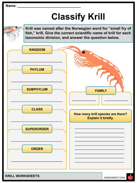 Krill Facts & Worksheets | Anatomy, Lifecycle, Food Chain, Status