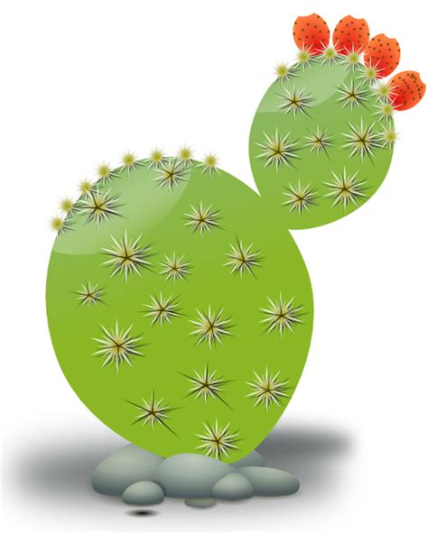 Free Cactus Clip Art, Download Free Cactus Clip Art png images, Free ClipArts on Clipart Library