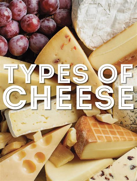 35 Types Of Cheese, Explained, 51% OFF | www.elevate.in