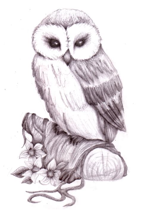 Owl Pencil Sketch by NatzS101 on DeviantArt