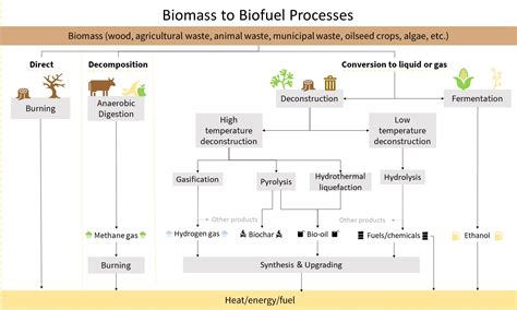 Biofuel Production | USDA Climate Hubs