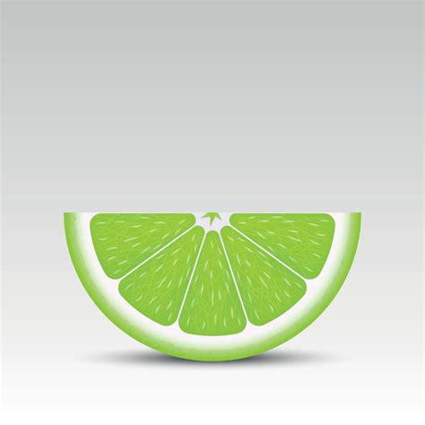 Realistic lime slice 6588659 Vector Art at Vecteezy