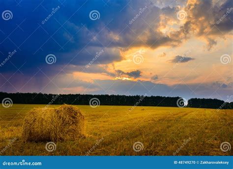 Straw bales in the sunset stock photo. Image of pile - 48749270