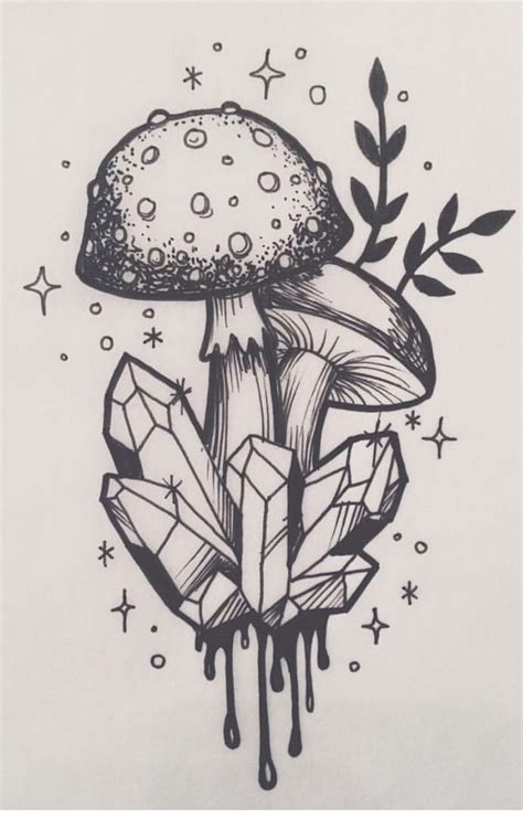 ¿Por dónde empiezo? - Iniciación Práctica a la Fotografía Digital | Mushroom drawing, Doodle art ...