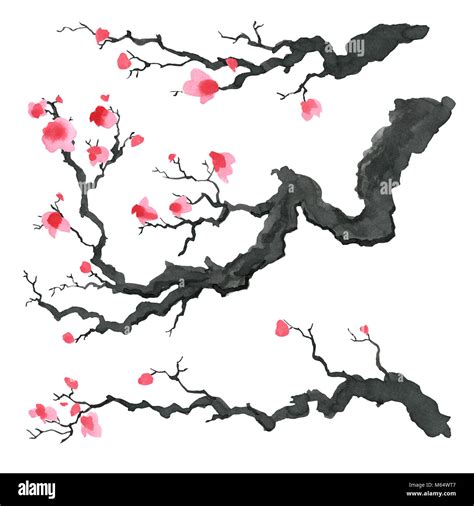 Sakura tree in Japanese style. Watercolor hand painting illustration Stock Photo - Alamy