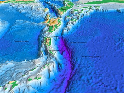 Ocean Trench Map