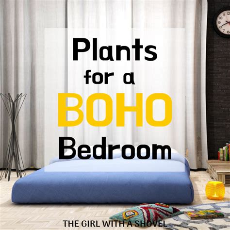 Plants for a Boho Bedroom - The Girl with a Shovel