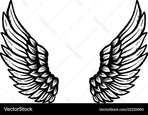 Hand drawn eagle wings isolated on white Vector Image