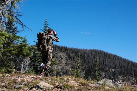 Hunting Rocky Mountain vs. Roosevelt Elk | Elk101.com | Eat. Sleep. HUNT ELK!