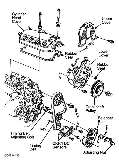 1998 Honda Accord Serpentine Belt Routing and Timing Belt Diagrams