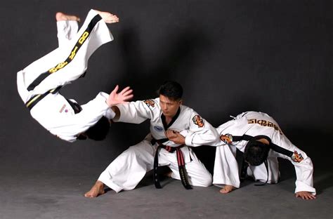 Hapkido | Manchester Martial Arts Centre