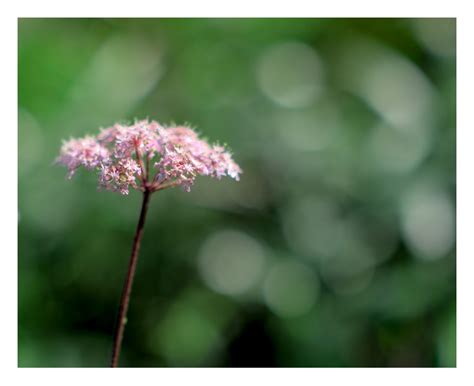 A Walk Along Neath Canal – OneCameraOneLens.Com