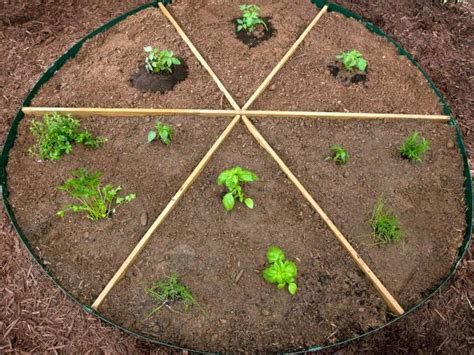 Grow Your Own Pizza Ingredients in Your Garden | HGTV