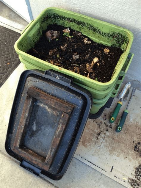 DIY Worm Composting Bin - The garden!