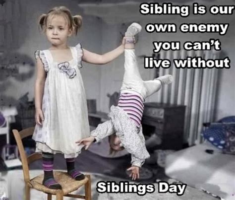 Funny National Siblings Day Meme Images - Technewssources.com