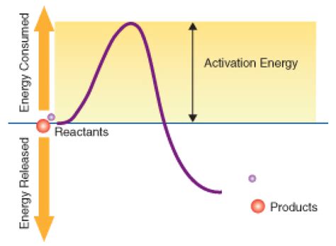 Chemical Reactions ‹ OpenCurriculum