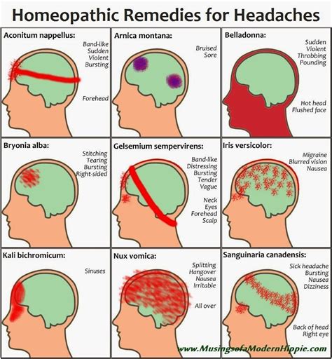 Homeopathy for Headaches | Natural headache remedies, Homeopathy, Homeopathic remedies