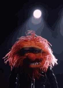 Animal Muppets GIFs | Tenor