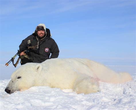 Canadian Arctic Polar Bear Hunt - Ameri-Cana Expeditions