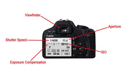 Understanding Your Camera's Settings: There's More To Taking Pictures Than The ‘Auto’ Function ...