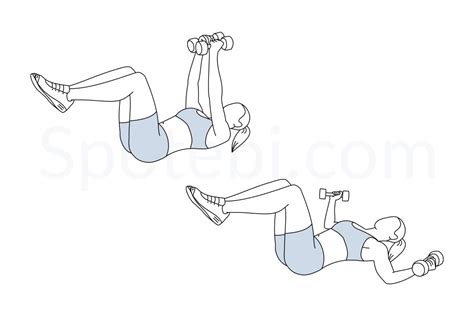 Chest Fly | Illustrated Exercise Guide