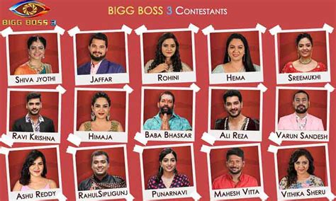 Bigg Boss Telugu 3: Contestants Revealed Pre Premiere, See List